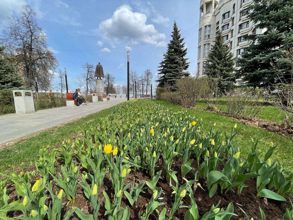 Департамент благоустройства города нижнего новгорода. Городская площадь с озеленением. Озеленение Нижний Новгород. Высадка цветов на клумбы. Благоустройство территории Нижний Новгород.