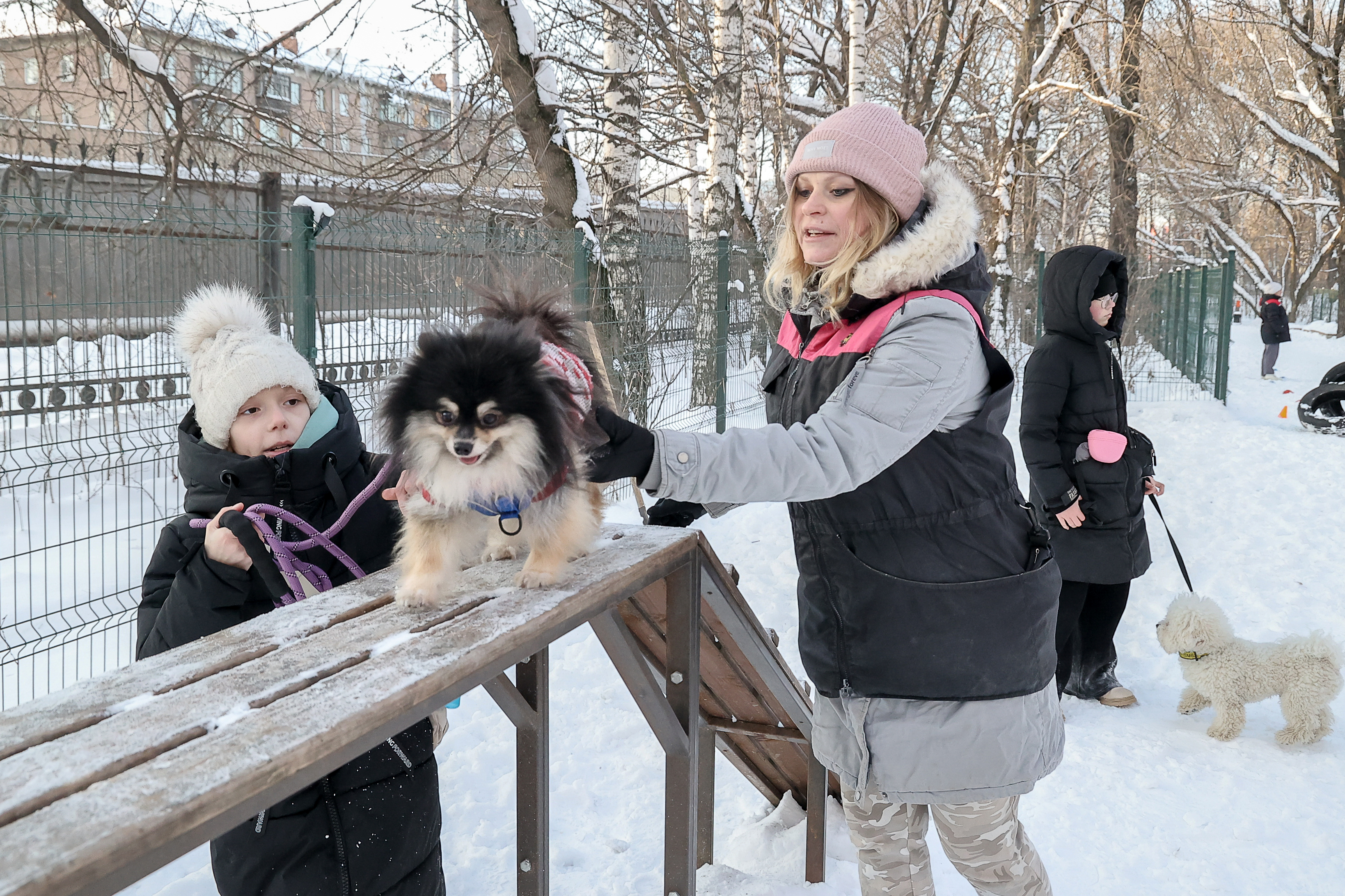 Юных нижегородцев приглашают присоединиться к бесплатным кинологическим  занятиям на городских специализированных площадках - Официальный сайт  администрации города Нижнего Новгорода