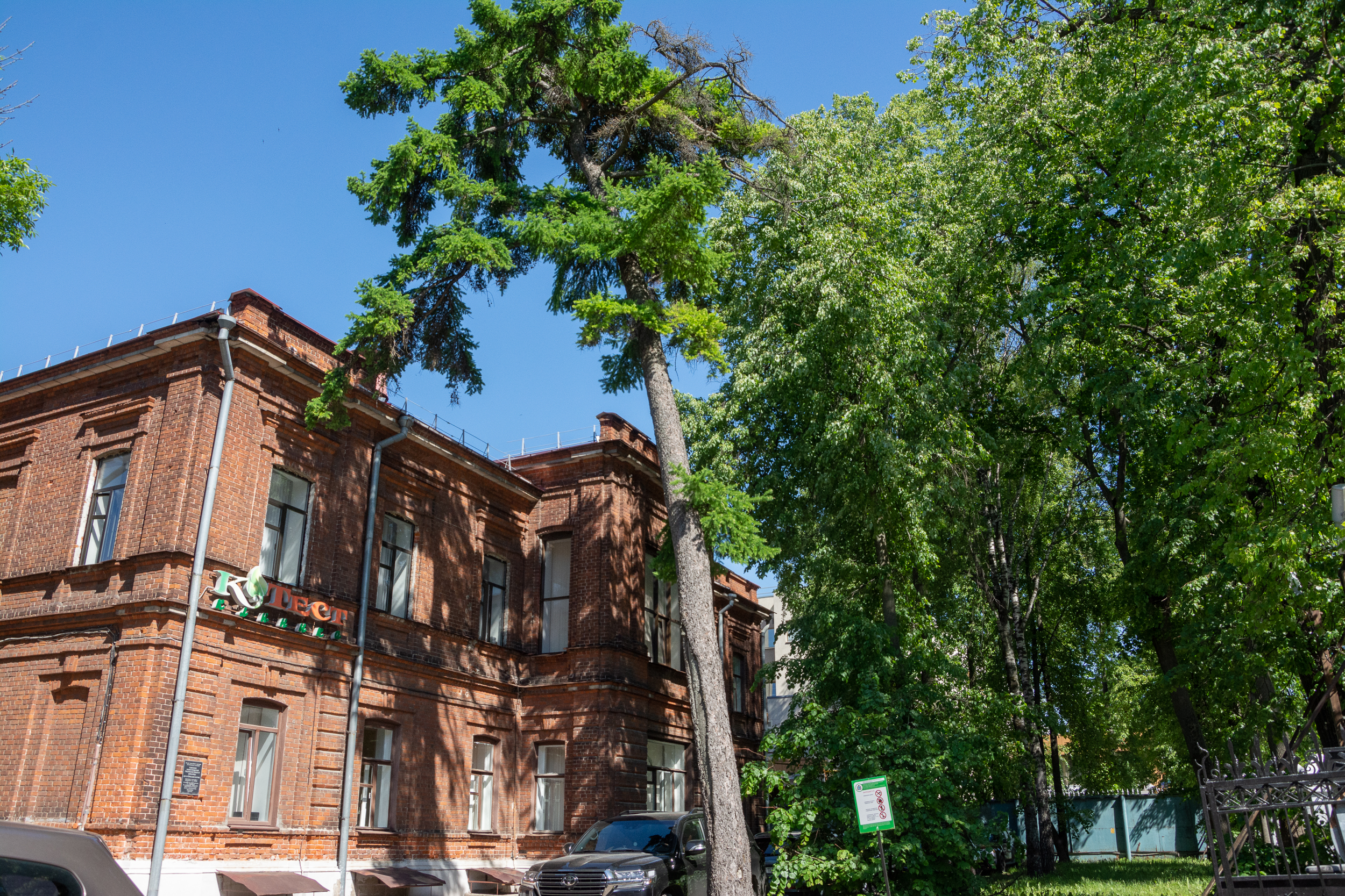 14 деревьев. Памятник в Нижнем Новгороде из рук. Памятник Шаляпину и Горькому в Нижнем Новгороде фото.