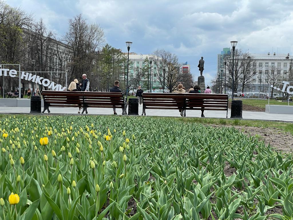 Более 1 млн растений высадят в Нижнем Новгороде в 2023 году - Официальный  сайт администрации города Нижнего Новгорода