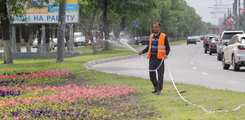 Цветы в автозаводском районе нижнего новгорода. Цветники в Приокском районе 2022 года-.